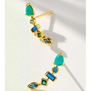 NWT stone crawler earrings